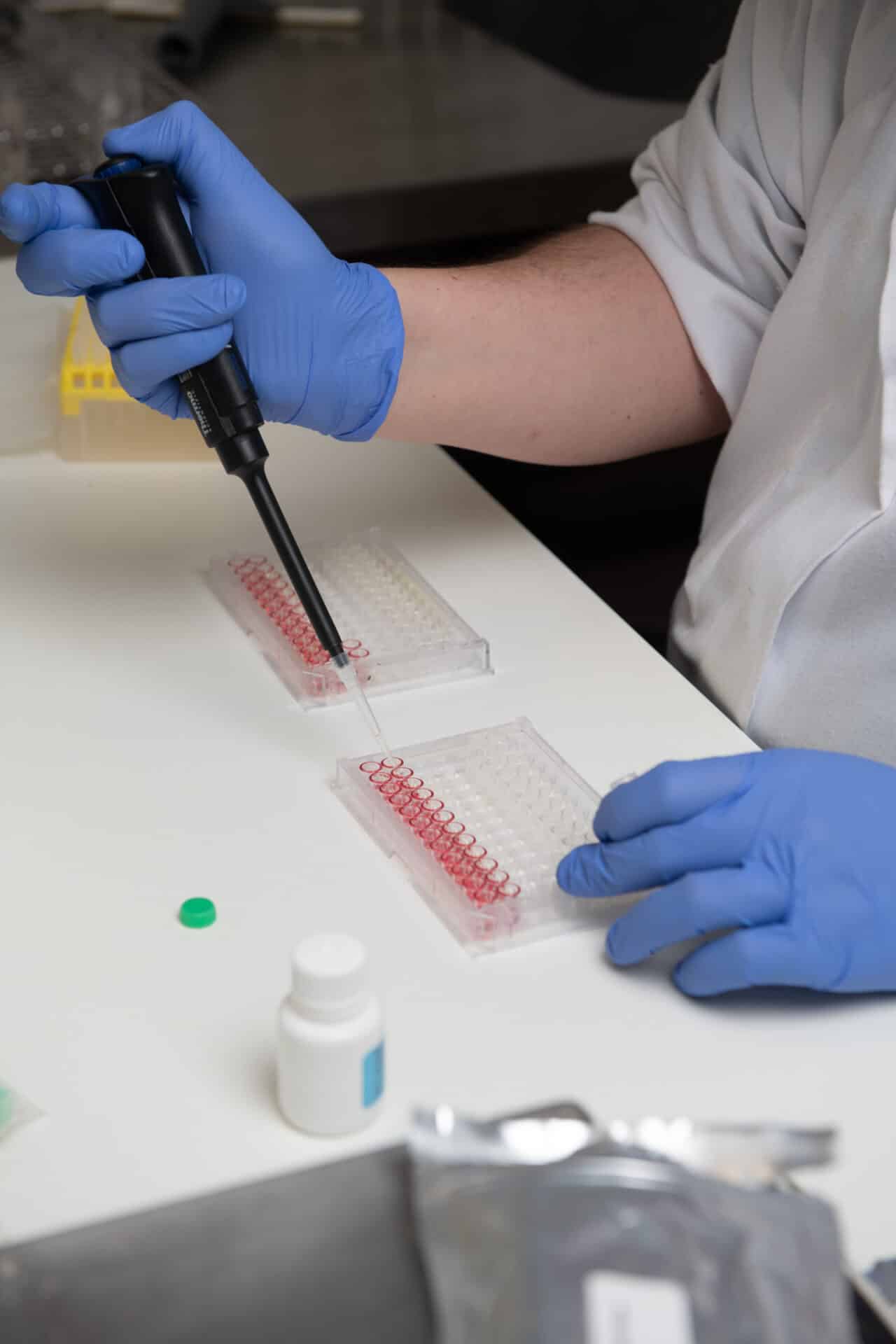 Chef de projets Recherche & Développement et Qualité F/H