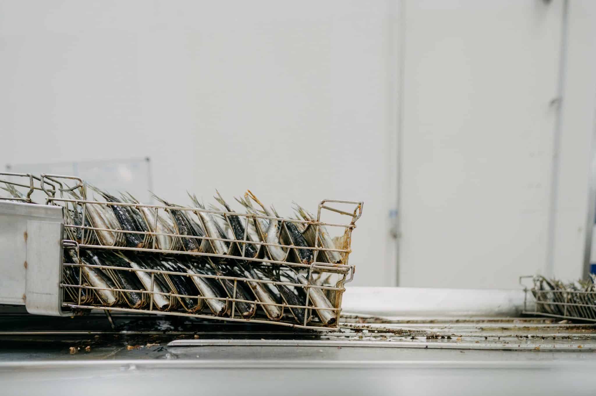 Assistant qualité F/H